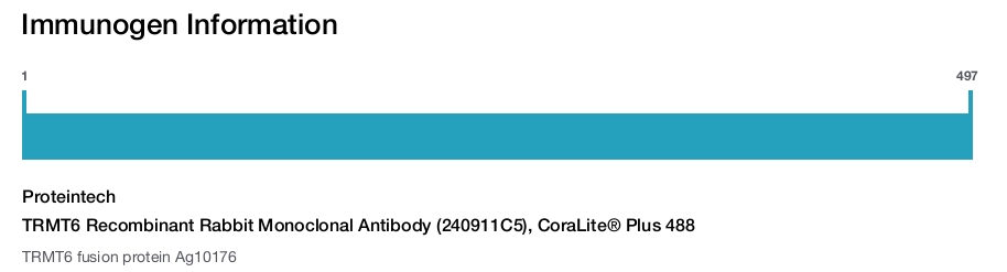 TRMT6 Recombinant Rabbit Monoclonal Antibody (240911C5), CoraLite&reg; Plus 488