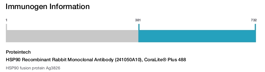 HSP90 Recombinant Rabbit Monoclonal Antibody (241050A10), CoraLite&reg; Plus 488