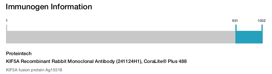 KIF5A Recombinant Rabbit Monoclonal Antibody (241124H1), CoraLite&reg; Plus 488