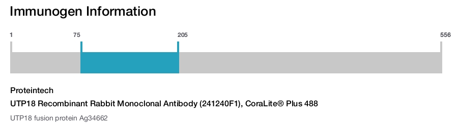 UTP18 Recombinant Rabbit Monoclonal Antibody (241240F1), CoraLite&reg; Plus 488
