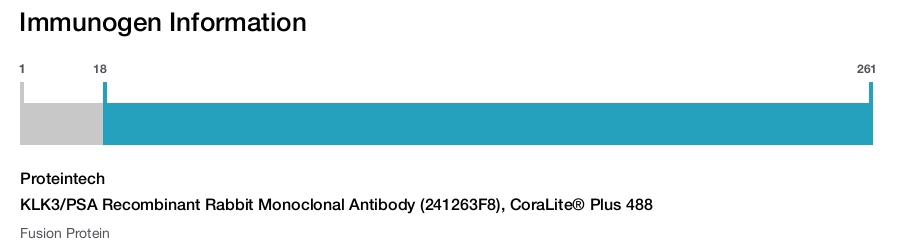 KLK3/PSA Recombinant Rabbit Monoclonal Antibody (241263F8), CoraLite&reg; Plus 488