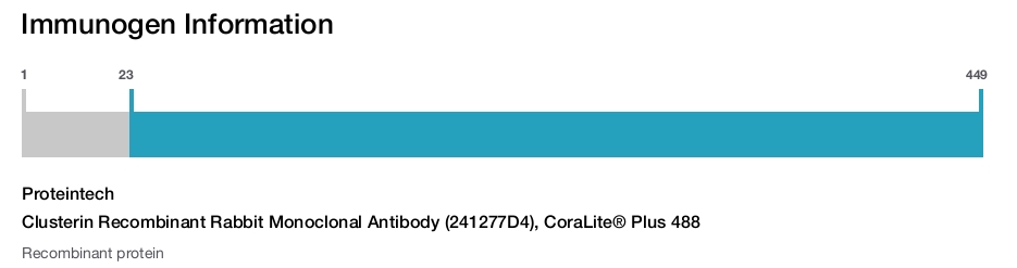 Clusterin Recombinant Rabbit Monoclonal Antibody (241277D4), CoraLite® Plus 488