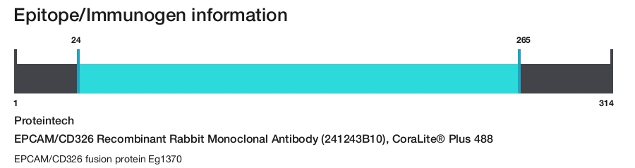 EPCAM/CD326 Recombinant Rabbit Monoclonal Antibody (241243B10), CoraLite&reg; Plus 488