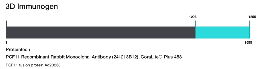 PCF11 Recombinant Rabbit Monoclonal Antibody (241213B12), CoraLite&reg; Plus 488