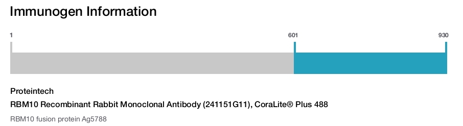 RBM10 Recombinant Rabbit Monoclonal Antibody (241151G11), CoraLite&reg; Plus 488