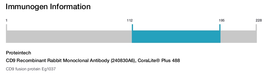 CD9 Recombinant Rabbit Monoclonal Antibody (240830A6), CoraLite® Plus 488