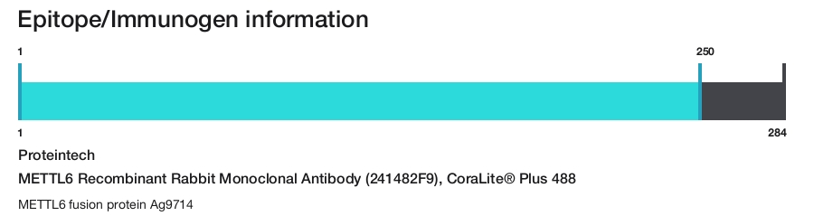 METTL6 Recombinant Rabbit Monoclonal Antibody (241482F9), CoraLite&reg; Plus 488