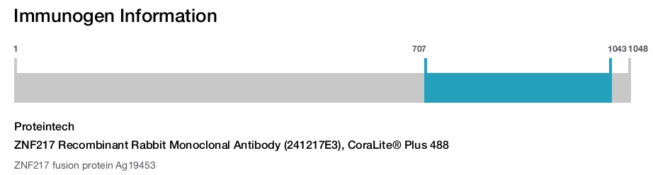 ZNF217 Recombinant Rabbit Monoclonal Antibody (241217E3), CoraLite&reg; Plus 488