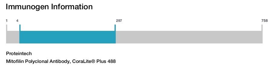 Mitofilin Polyclonal Antibody, CoraLite&reg; Plus 488