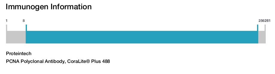 PCNA Polyclonal Antibody, CoraLite&reg; Plus 488