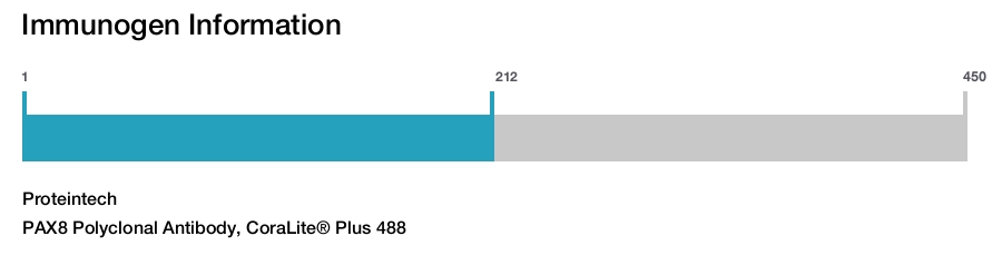 PAX8 Polyclonal Antibody, CoraLite&reg; Plus 488