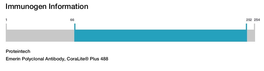 Emerin Polyclonal Antibody, CoraLite&reg; Plus 488