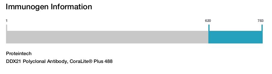 DDX21 Polyclonal Antibody, CoraLite&reg; Plus 488