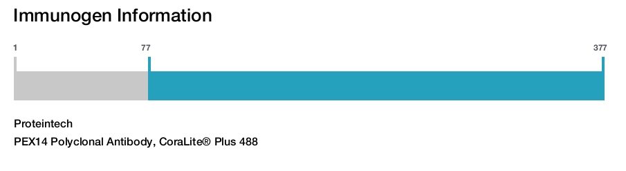 PEX14 Polyclonal Antibody, CoraLite&reg; Plus 488