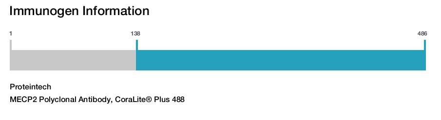 MECP2 Polyclonal Antibody, CoraLite&reg; Plus 488