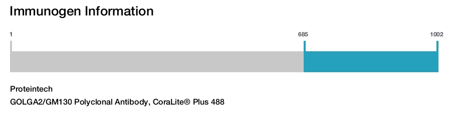 GOLGA2/GM130 Polyclonal Antibody, CoraLite&reg; Plus 488