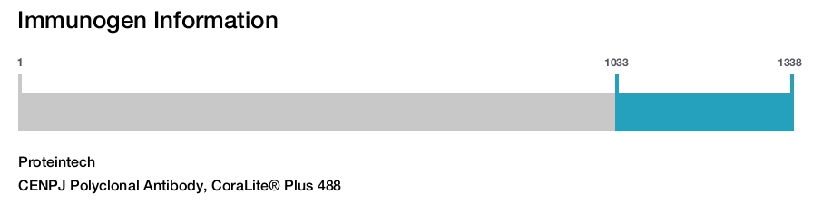 CENPJ Polyclonal Antibody, CoraLite&reg; Plus 488
