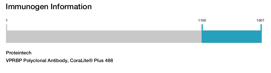 VPRBP Polyclonal Antibody, CoraLite&reg; Plus 488