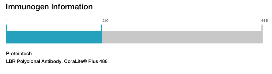 LBR Polyclonal Antibody, CoraLite&reg; Plus 488