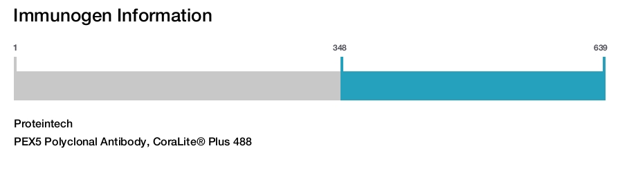 PEX5 Polyclonal Antibody, CoraLite&reg; Plus 488