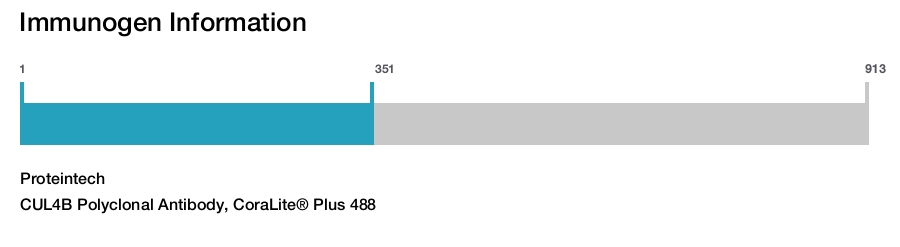 CUL4B Polyclonal Antibody, CoraLite&reg; Plus 488
