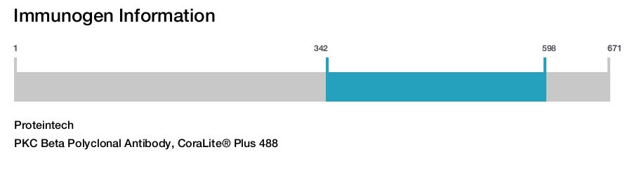 PKC Beta Polyclonal Antibody, CoraLite&reg; Plus 488
