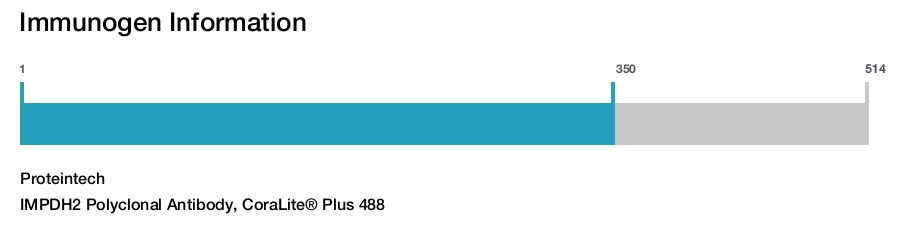 IMPDH2 Polyclonal Antibody, CoraLite&reg; Plus 488