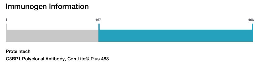 G3BP1 Polyclonal Antibody, CoraLite&reg; Plus 488