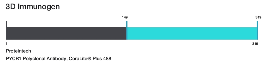 PYCR1 Polyclonal Antibody, CoraLite&reg; Plus 488