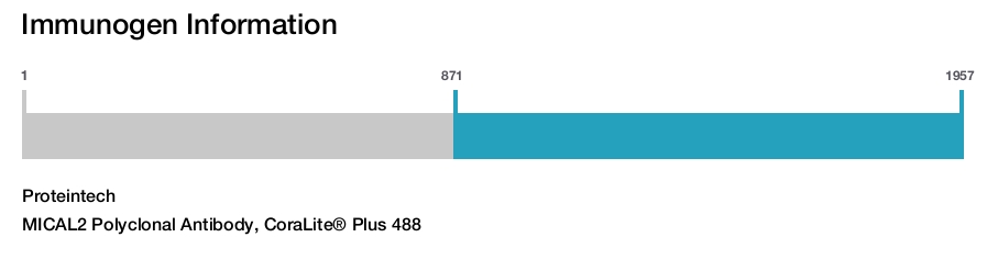 MICAL2 Polyclonal Antibody, CoraLite® Plus 488