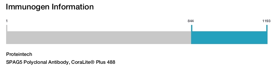 SPAG5 Polyclonal Antibody, CoraLite&reg; Plus 488