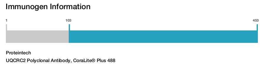 UQCRC2 Polyclonal Antibody, CoraLite&reg; Plus 488