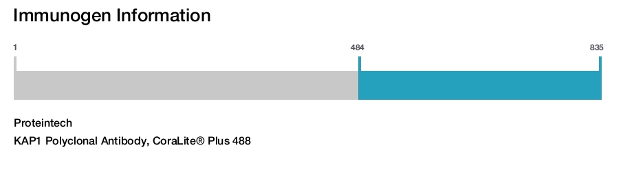 KAP1 Polyclonal Antibody, CoraLite&reg; Plus 488