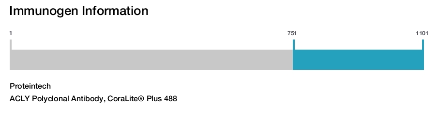 ACLY Polyclonal Antibody, CoraLite&reg; Plus 488