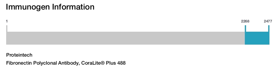 Fibronectin Polyclonal Antibody, CoraLite&reg; Plus 488