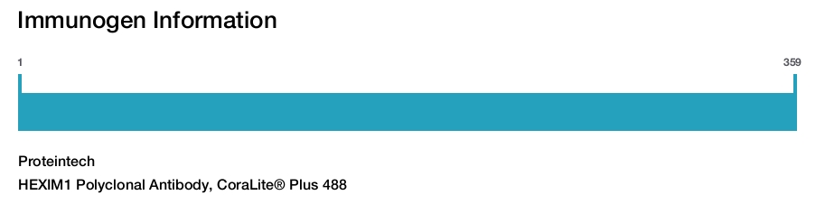 HEXIM1 Polyclonal Antibody, CoraLite&reg; Plus 488