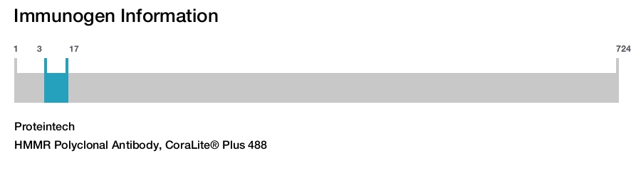 HMMR Polyclonal Antibody, CoraLite&reg; Plus 488