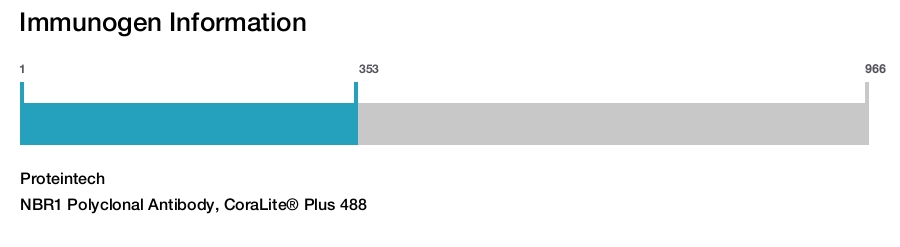 NBR1 Polyclonal Antibody, CoraLite&reg; Plus 488