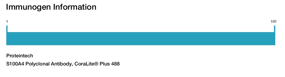 S100A4 Polyclonal Antibody, CoraLite&reg; Plus 488