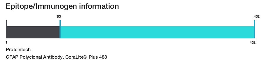 GFAP Polyclonal Antibody, CoraLite&reg; Plus 488