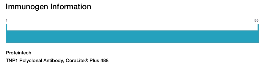 TNP1 Polyclonal Antibody, CoraLite&reg; Plus 488