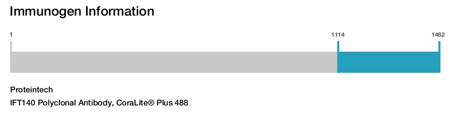 IFT140 Polyclonal Antibody, CoraLite&reg; Plus 488