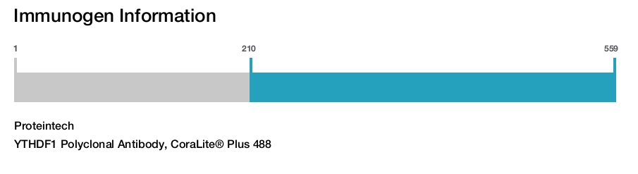 YTHDF1 Polyclonal Antibody, CoraLite&reg; Plus 488