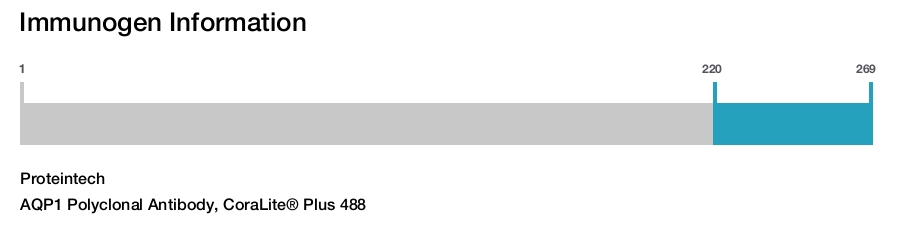 AQP1 Polyclonal Antibody, CoraLite&reg; Plus 488