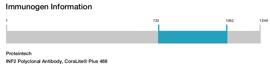 INF2 Polyclonal Antibody, CoraLite&reg; Plus 488