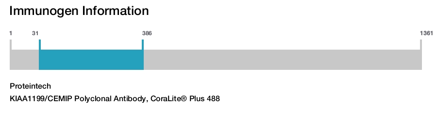 KIAA1199/CEMIP Polyclonal Antibody, CoraLite&reg; Plus 488