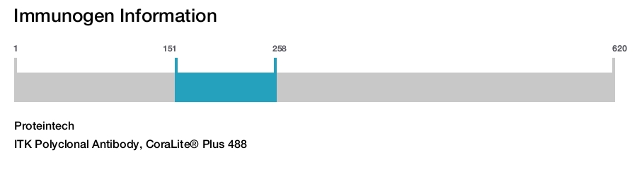 ITK Polyclonal Antibody, CoraLite&reg; Plus 488