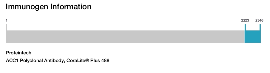ACC1 Polyclonal Antibody, CoraLite&reg; Plus 488