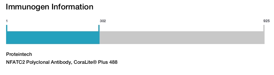 NFATC2 Polyclonal Antibody, CoraLite&reg; Plus 488