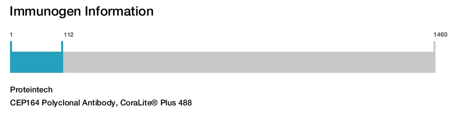 CEP164 Polyclonal Antibody, CoraLite&reg; Plus 488